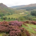 Schottland - Galloway Forest Park- viagolla - Reisetipps