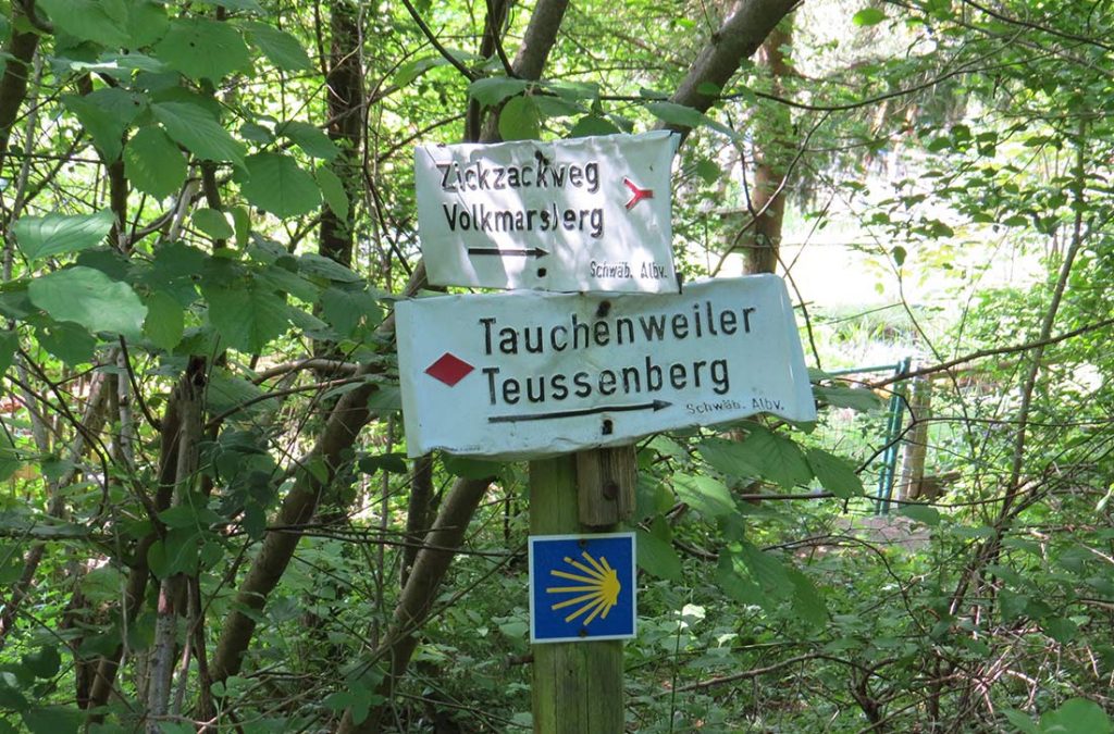 Kocherursprung – Volkmarsberg und die Europäische Wasserscheide - Wandertipp