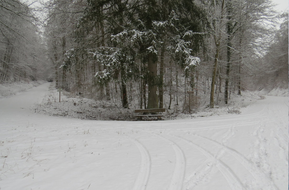 k-nigsbronn-brenzursprung-itzelberger-see-albwanderung-am-rand