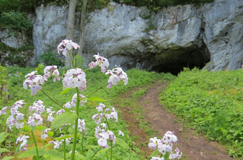 Lonetal – Neandertalerweg - Bissing – Schwäbische Alb – Deutschland – Wandertipp – viagolla
