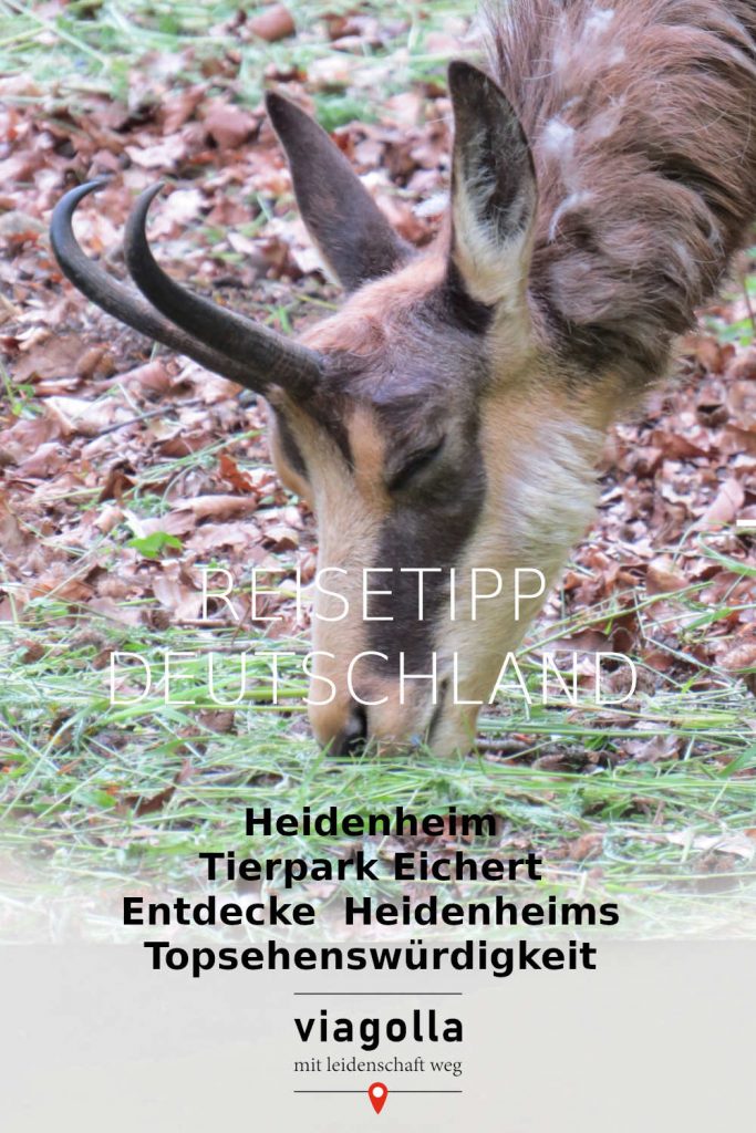 Tierpark Eichert – Heidenheim – Ausflugsziel – Schwäbische Alb - Baden-Württemberg – Deutschland - viagolla